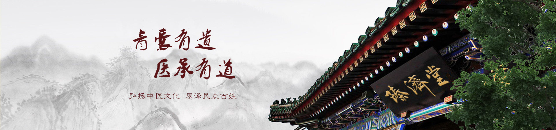 公司介绍