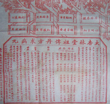 祖传求病丸发票