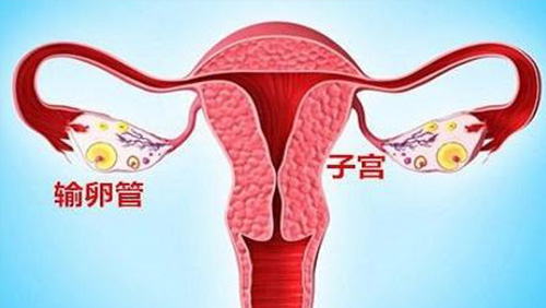 输卵管阻塞性不孕
